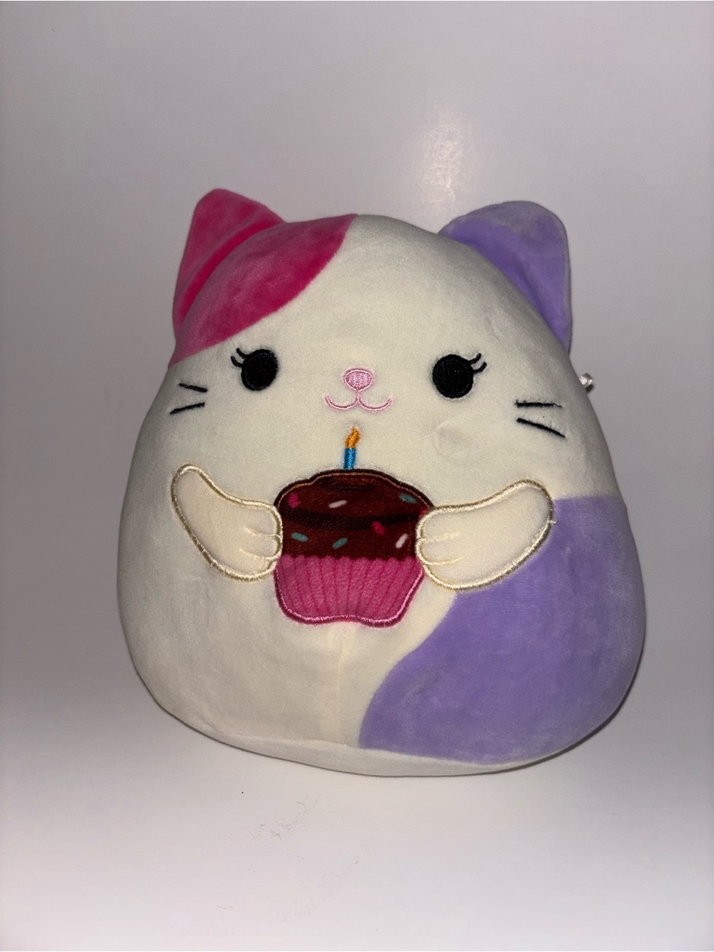 Squishmallows Carlota the Cat Plush 8in
